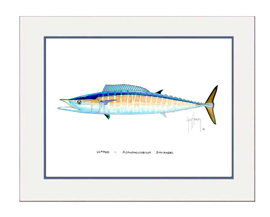 "Wahoo" Grande Mini Print
