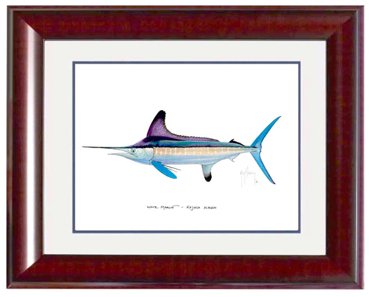 "White Marlin" Grande Mini Print