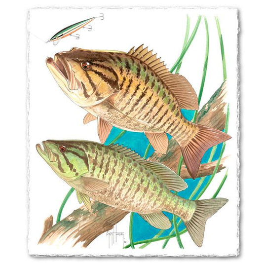 SMALLMOUTH BASS View 1