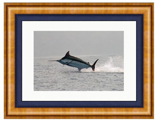 MADERIA BLUE PHOTO ART FRAMED View 1