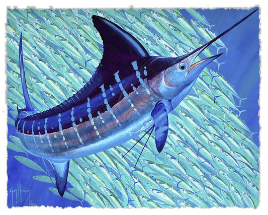 HOLY MACKEREL View 1