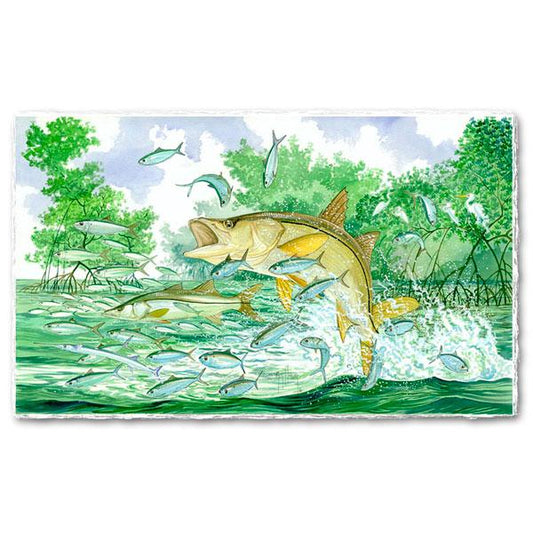 MANGROVE MANIA View 1