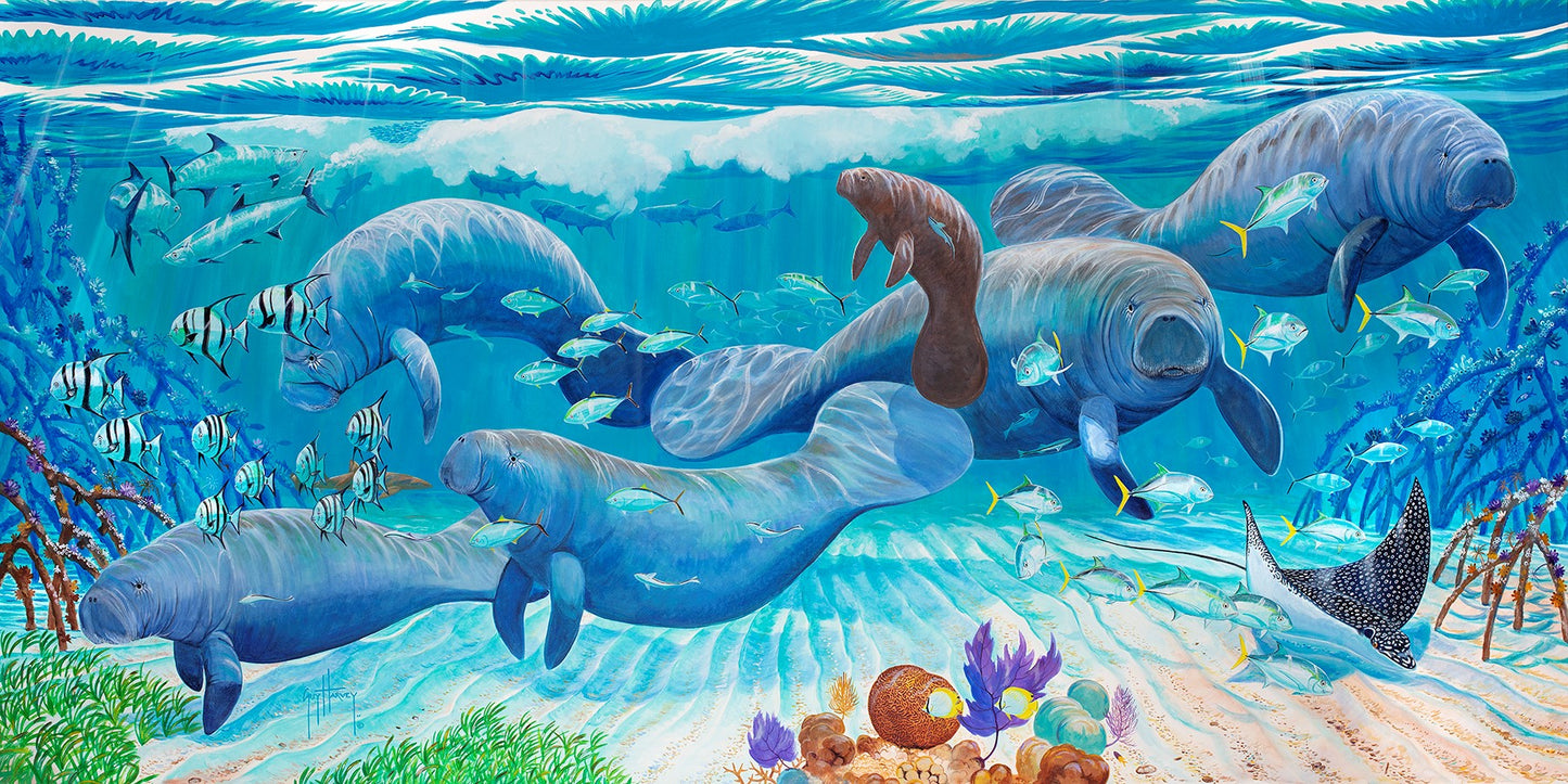 Mangrove Refuge View 1