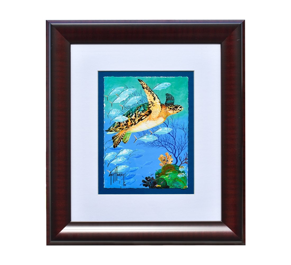 Guy harvey 2025 sea turtle art