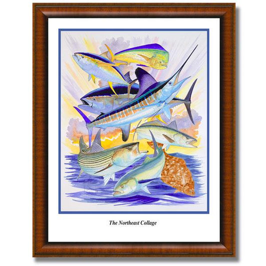 NORTHEASTERN COLLAGE View 1