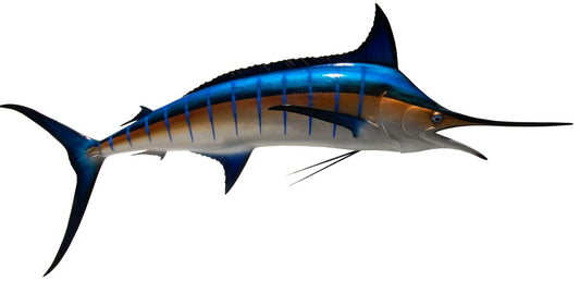 120 INCH BLUE MARLIN View 1