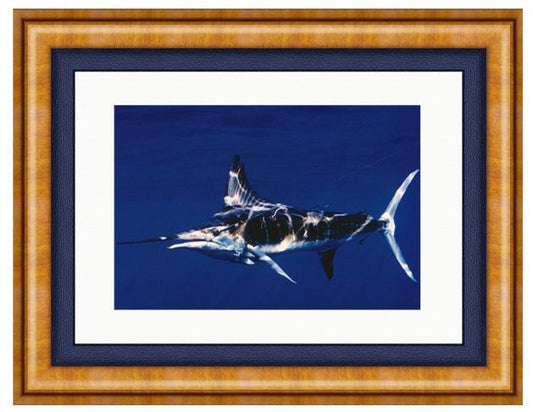 STRIPED TAGGED MARLIN PHOTO ART FRAMED View 1