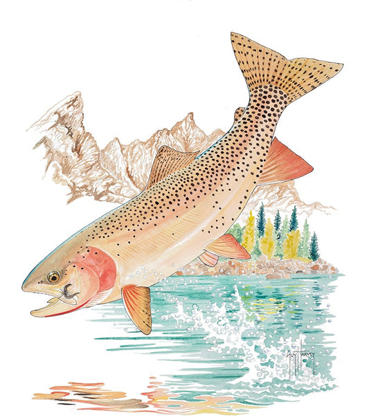 Cutthroat Trout View 1