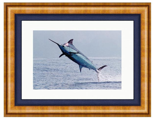 MADEIRA BLUE PHOTO ART FRAMED View 1