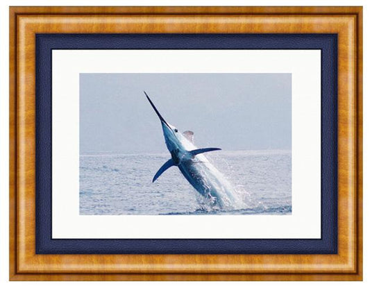 BLUE MARLIN PHOTO ART FRAMED View 1