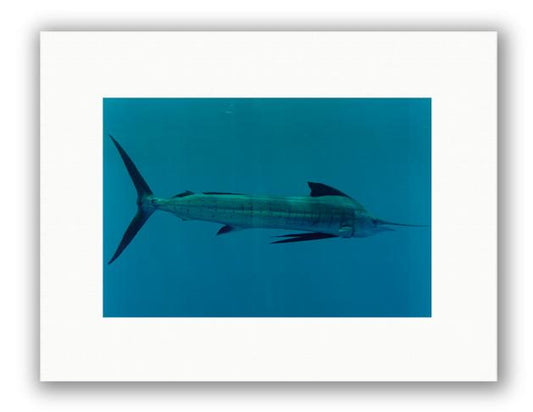 ACCELERATOR PHOTO ART UNFRAMED View 1