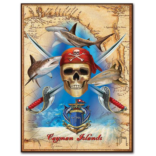 PIRATE SHARK CHART View 1