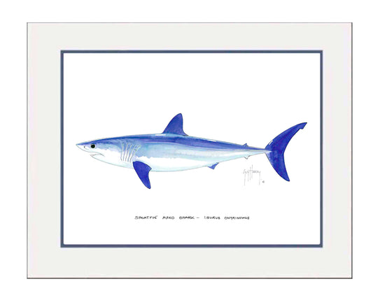 Shortfin Mako Shark Mini Print View 1