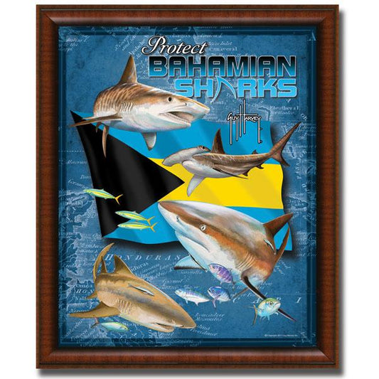 PROTECT BAHAMIAN SHARKS View 1