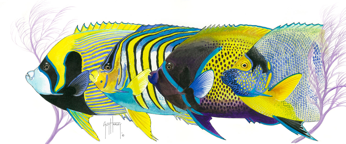 Angelface Pacific I View 1