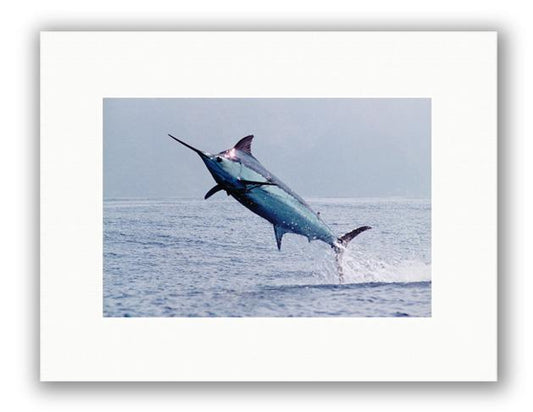 MADEIRA BLUE PHOTO ART UNFRAMED View 1