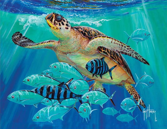 Hawksbill Caravan Guy Harvey Pet Bed View 2