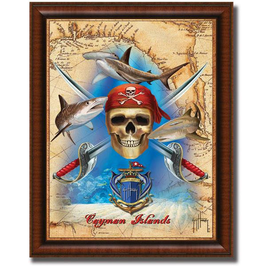 PIRATE SHARK CHART View 1