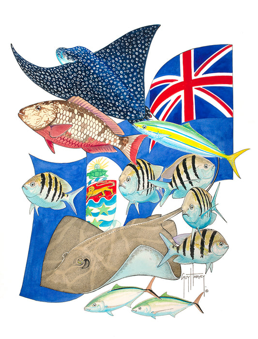 Jewels of Cayman View 1