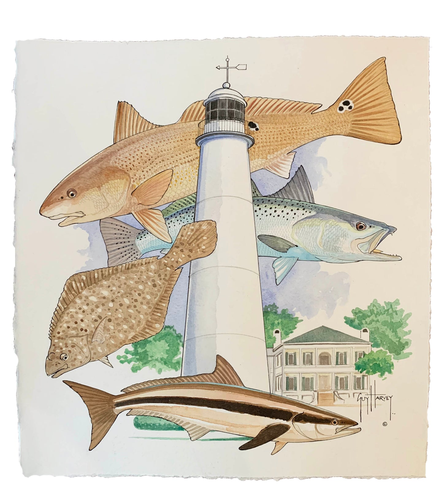 Biloxi Lighthouse View 1