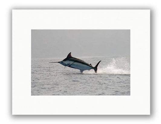 MADERIA BLUE PHOTO ART UNFRAMED View 1