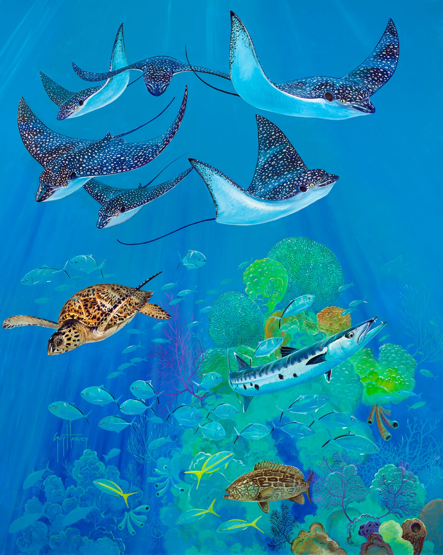 Eagle Ray Pass View 1