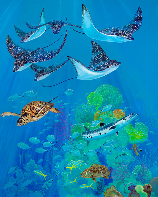 Eagle Ray Pass View 1