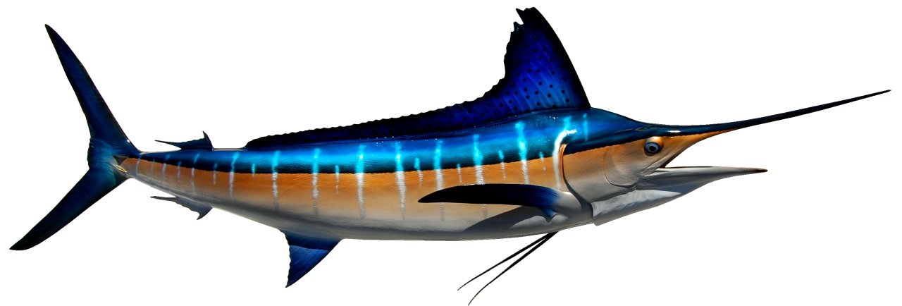 Guy Harvey Striper Fish Hat - Blue Tan - Men's Size Hook & Loop