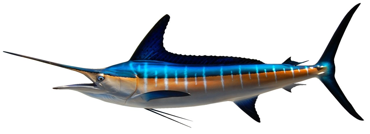 100 INCH STRIPED MARLIN View 1