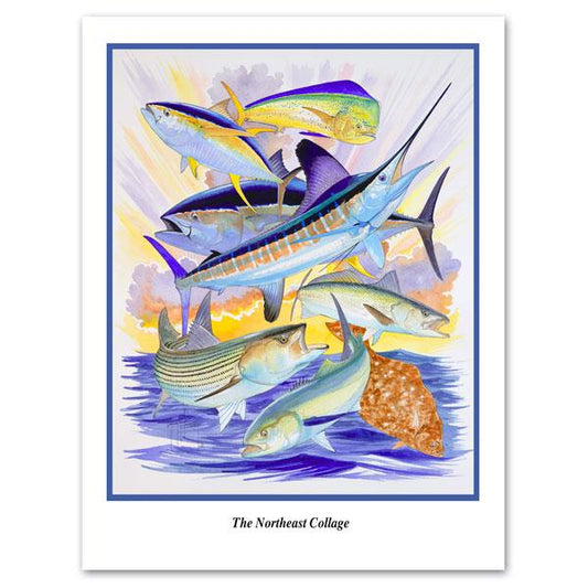 NORTHEASTERN COLLAGE View 1