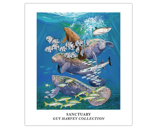 Sanctuary Poster View 1