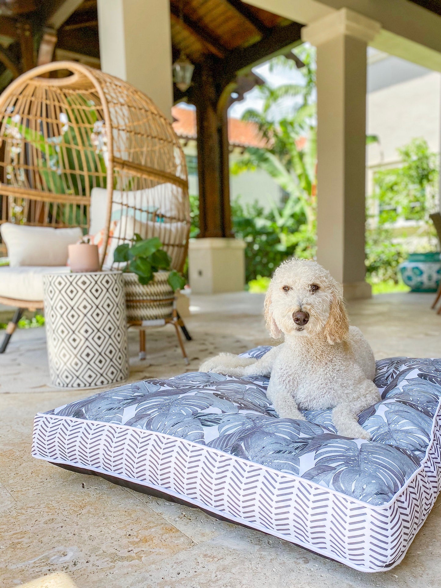 Black Palm Guy Harvey Pet Bed View 4