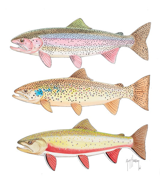 Triple Trout I View 1