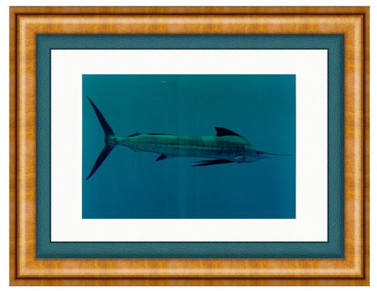 ACCELERATOR PHOTO ART FRAMED View 1