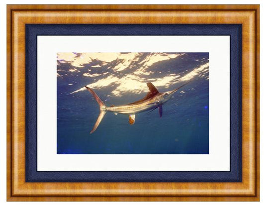 WHITETAIL PHOTO ART UNFRAMED View 1