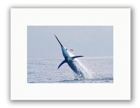 BLUE MARLIN PHOTO ART UNFRAMED View 1