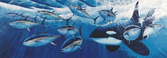 KILLER WHALE AND BLUEFIN TUNA View 1