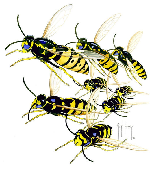 YELLOW JACKETS View 1