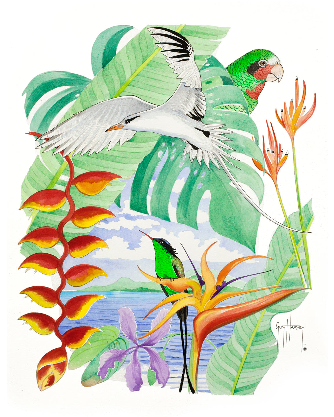 Protect Paradise I