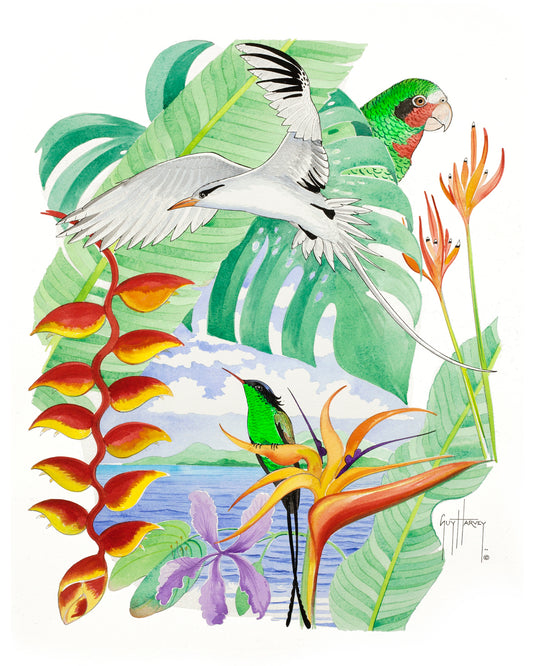 Protect Paradise I View 1