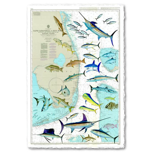 FLORIDA CHART View 1