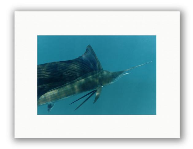 CLOSE UP PHOTO ART UNFRAMED View 1