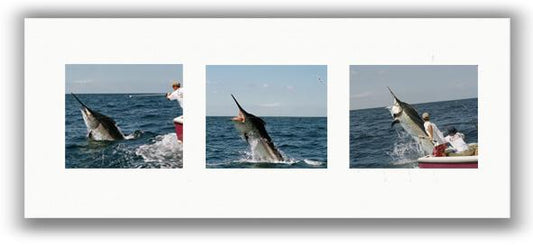 UP CLOSE & PERSONAL TRIPTYCH PHOTO ART UNFRAMED View 1