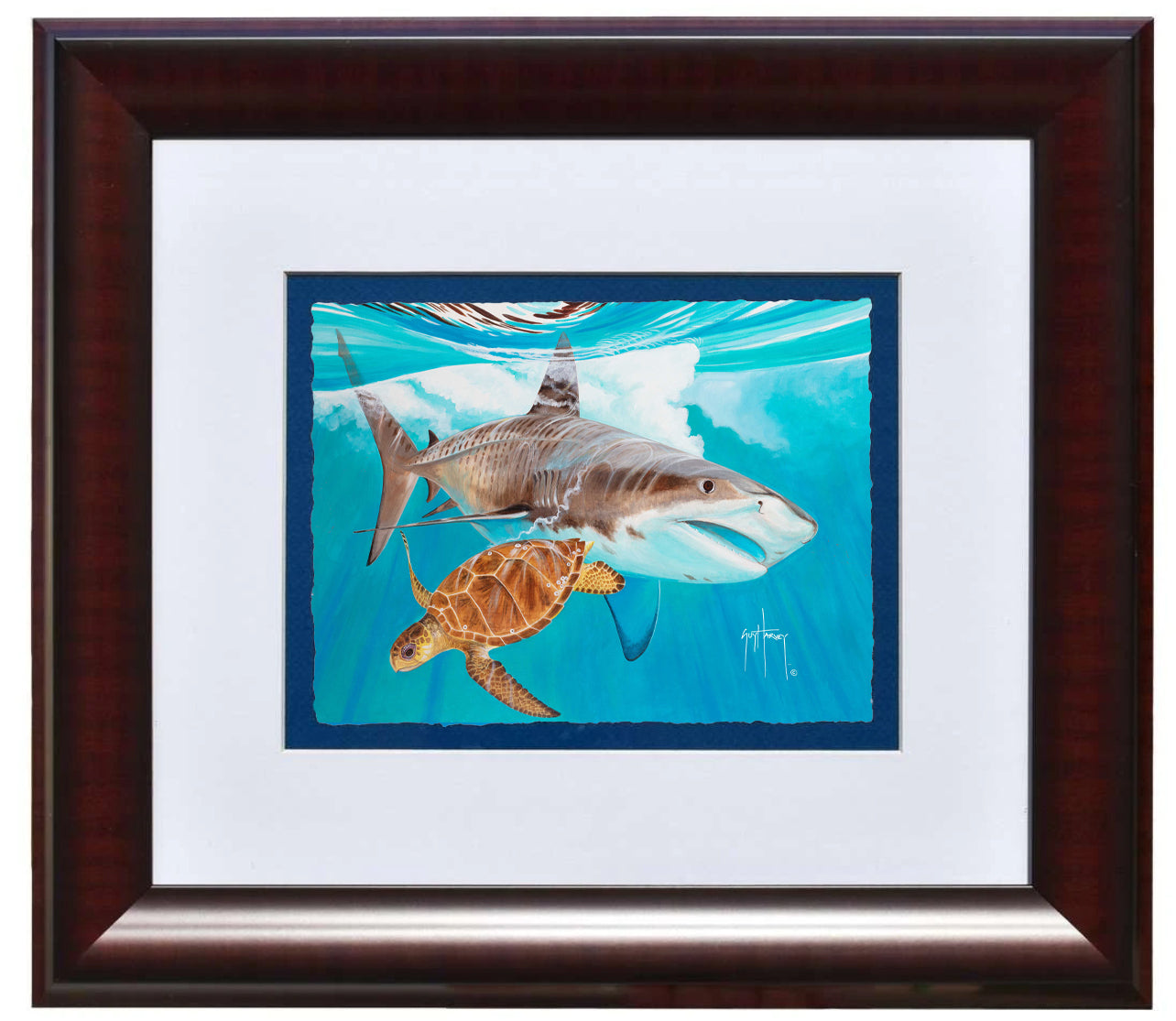 Head Start Framed Open Edition – Guy Harvey