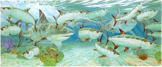 CARIBBEAN ENCOUNTER View 1