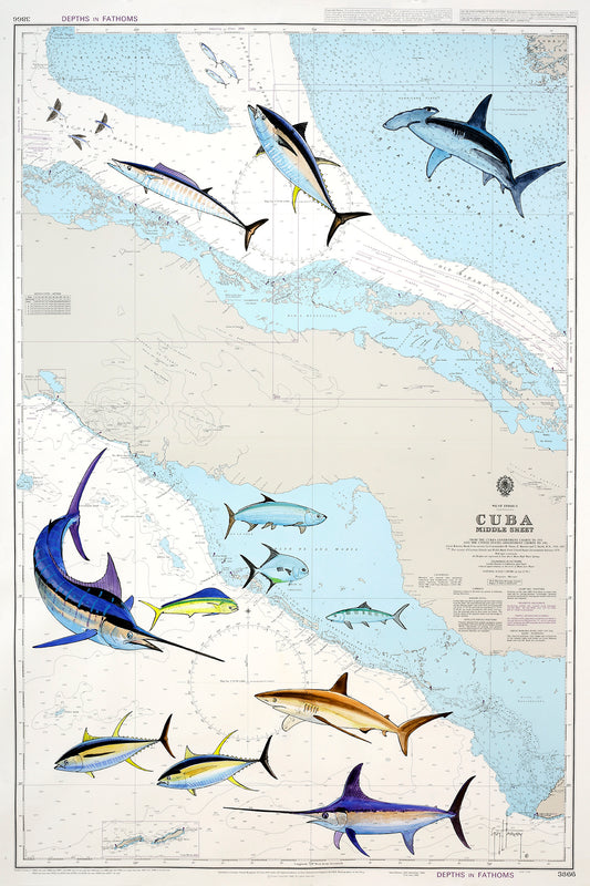 Cuba Middle Chart View 1