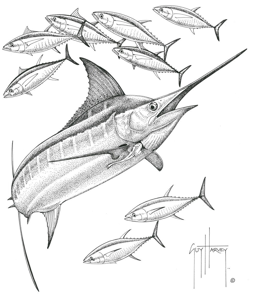 XtraFly Apparel Mens Saltwater Fish Collage Marlin Tuna Swordfish