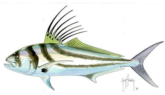 FOTOO ROOSTERFISH View 1