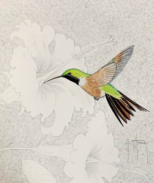 Bahamas Woodstar View 1