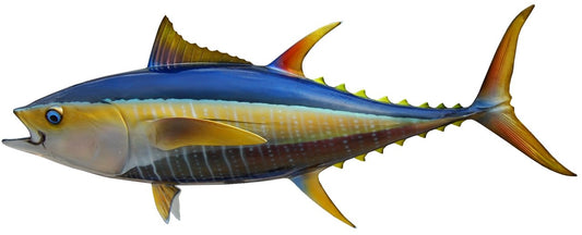 44 INCH YELLOWFIN TUNA View 1